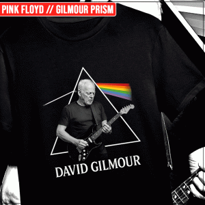 Remera "Pink Floyd: Gilmour Prism"